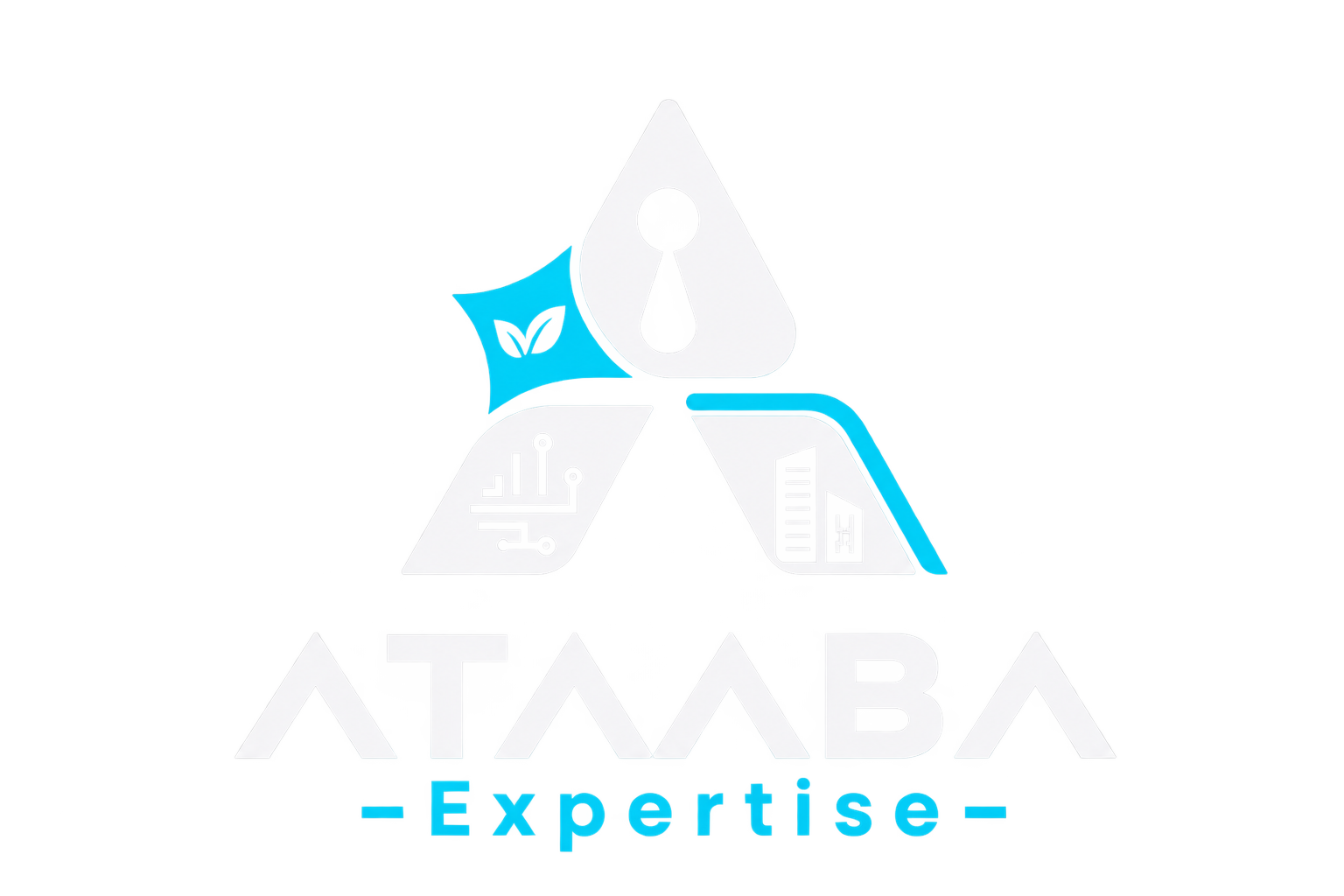 ATAABA EXPERTISE